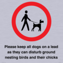 please-keep-all-dogs-on-a-lead-as-they-can-disturb-ground-nesting-birds-and-thei~